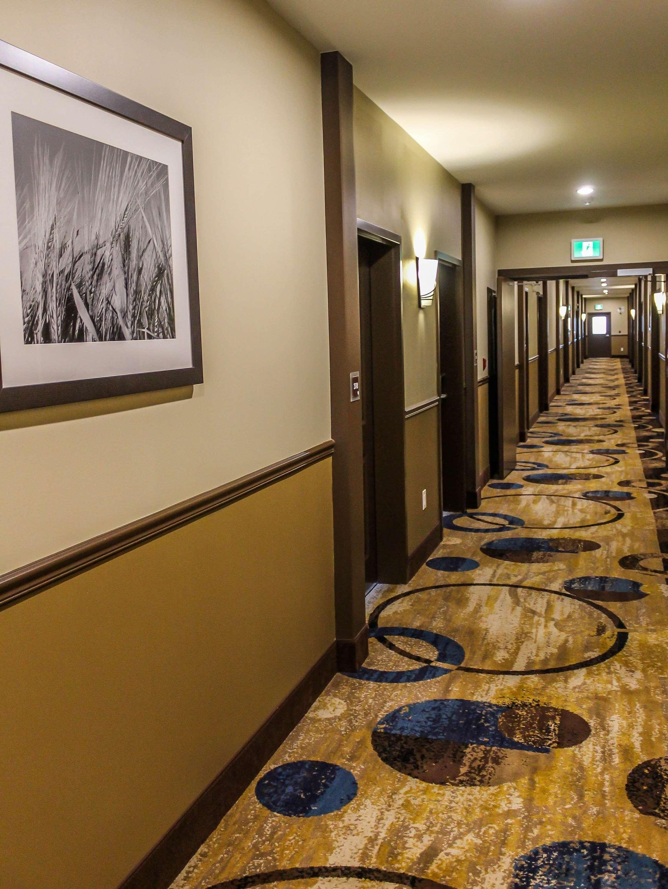 Best Western Plus Moosomin Hotel Экстерьер фото